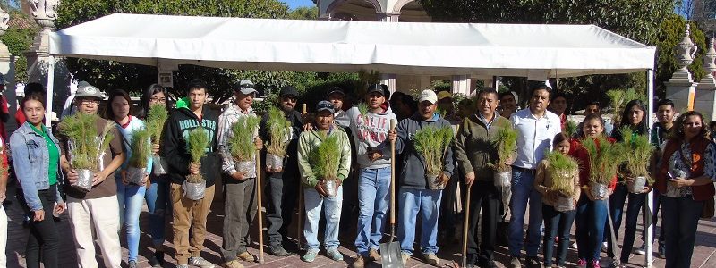 Arranca la campaña de reforestación en la zona conurbada de la ciudad de Rio Grande Arranca la campaña de reforestación en la zona conurbada de la ciudad de Rio Grande